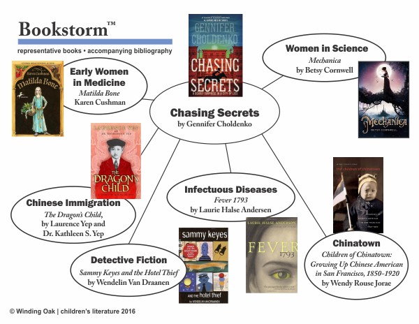 Bookmap for Chasing Secrets Bookstorm