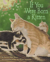 如果你出生了一只小猫