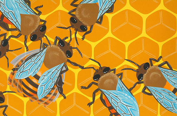 由Rick Chrustowski绘制的蜜蜂舞蹈插图