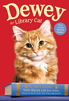 杜威图书馆猫