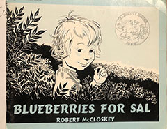 蓝莓对萨尔