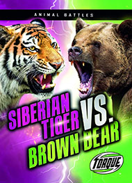 西伯利亚虎vs棕熊